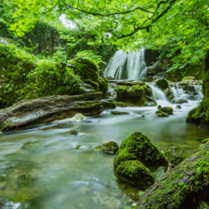 Cascade Végétale