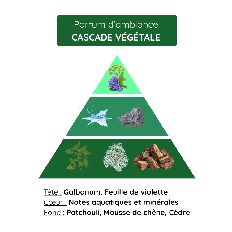 Cascade Végétale – Image 2