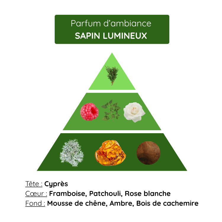Sapin Lumineux – Image 2