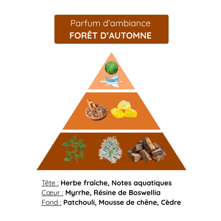 Forêt d’Automne – Image 2